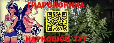 ГАЛЛЮЦИНОГЕННЫЕ ГРИБЫ Кунгур