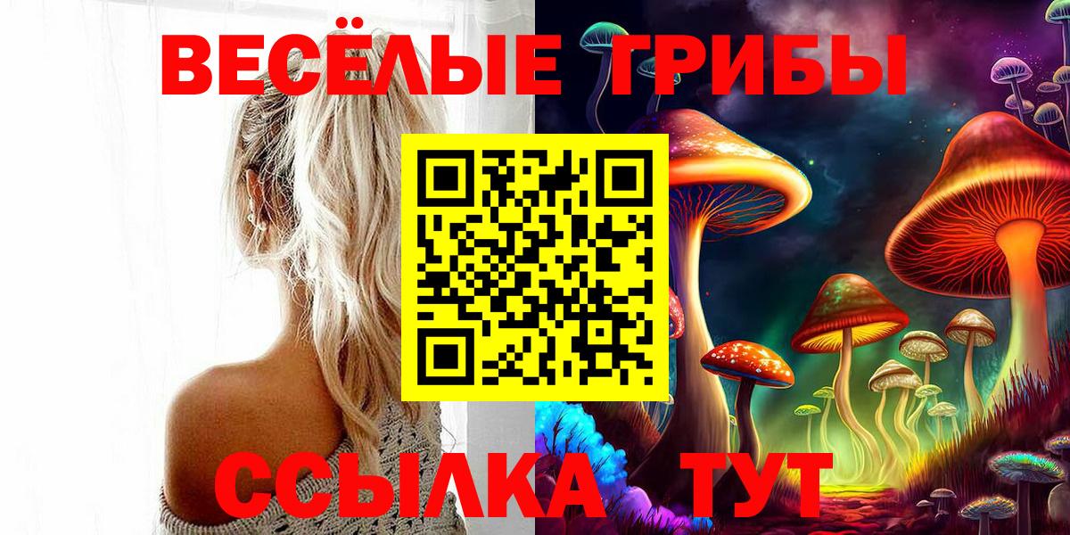 Галлюциногенные грибы Psilocybe  Псилоцибиновые грибы мухоморы  Кашира  Вход с VPN 